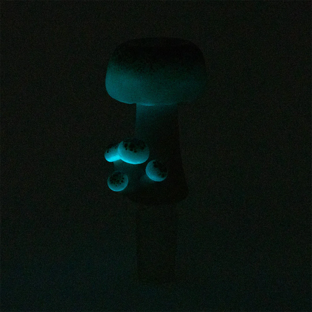 Empire Glass Works Mushroom Bowl - Image 2